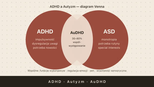 ADHD a autyzm — różnice, podobieństwa i AuDHD