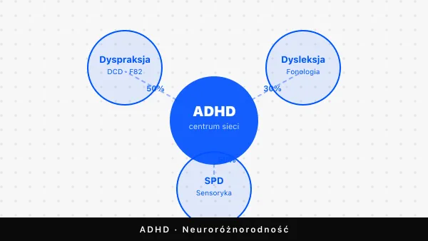 Dyspraksja, dysleksja i sensoryka w ADHD