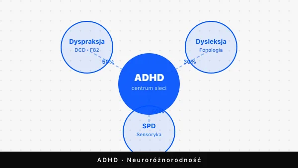 Dyspraksja, dysleksja i sensoryka w ADHD