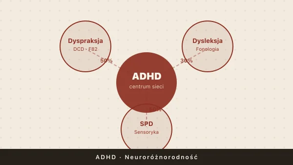 Dyspraksja, dysleksja i sensoryka w ADHD