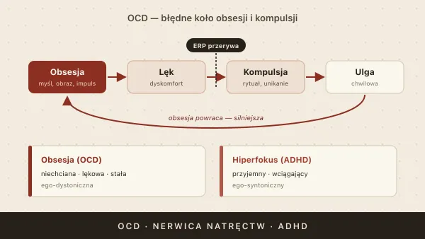 OCD (nerwica natręctw) — objawy, leczenie i związek z ADHD