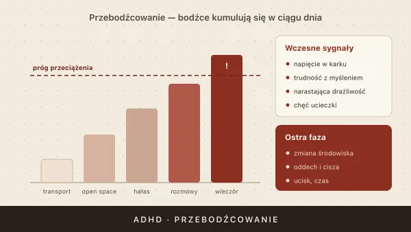 Przebodźcowanie przy ADHD — jak je rozpoznać i jak dbać o układ nerwowy