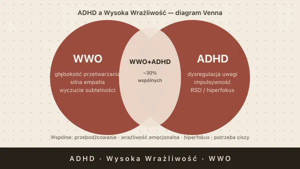 ADHD a wysoka wrażliwość WWO — różnice i nakładanie