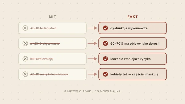 Mity o ADHD — 8 fałszywych przekonań obalonych faktami